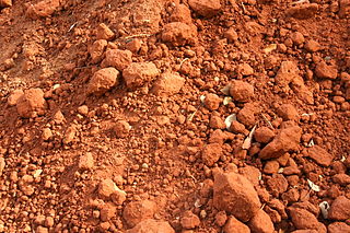Boden in Auroville, Tamil Nadu, Indien