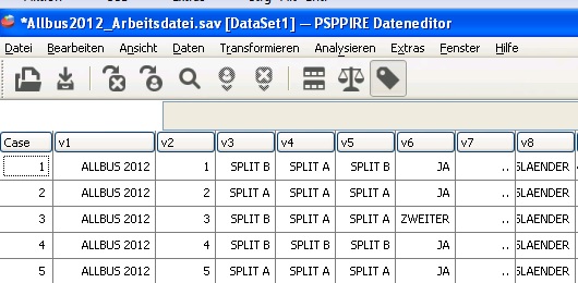 PSPP Datenfenster